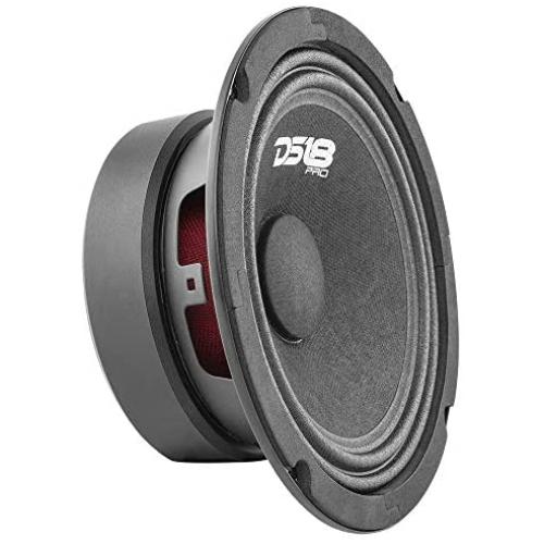 DS18 PRO-GM10 Loudspeaker - 10'', Midrange, Black Steel Basket, 660W Max, 220W RMS, 8 Ohms - Premium Quality Audio Door Speakers for Car or Truck Stereo Sound System (1 Speaker)