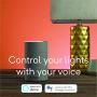 Wyze Bulb 800 Lumen A19 LED Smart Home Light Bulb, Adjustable white temperature and brightness, works with Alexa and the Google Assistant, No Hub Required, 4-Pack