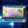 1.14in 8Pin ST7789 TFT Display Screen Module IPS Electronic Components Smart LCD Module Display for Arduino