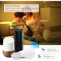 Smart Light Bulb, Tunable, Soft White to Daylight, Wifi Smart Bulb, 60 Watt Equivalent, A19 E26 Edison Bulb, Compatible with Alexa and Google Home, Lumiman LM520