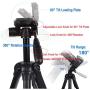 Regetek Camera Tripod Travel Monopod (70'' Aluminum Professional Video Camera Mount Leg) Adjustable Stand with Flexible Head for Canon Nikon Dv DSLR Camcorder Gopro Cam& Carry Bag & Cellphone Mount