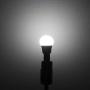 Yueximei E17 Globe Light Bulb, 5 Watt 40W Equivalent, 5000K Daylight, 450LM,Slender G14 LED Bulbs for Ceiling Fan, Chandelier Lighting, Not Dimmable, Pack of 6