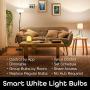 Geeni LUX 800 Dimmable A19 White LED Smart Home Light Bulbs, Works with Alexa and Google Assistant, No Hub Required, Requires 2.4GHz WiFi (3 Pack)