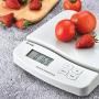 Horizon SF-550 V2 55 LB x 0.1 OZ Digital Postal Shipping Scale with Counting Function