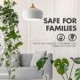 Tenergy LED Light Bulb, 9 watts Equivalent A19 E26 Medium Standard Base, 5000K Daylight White Energy Saving Light Bulbs for Office/Home (Pack of 16)