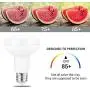 Flood Light Bulb, E26 Base, BR25 LED Bulb for Indoor/Outdoor Downlight Recessed Can Light, Dimmable, 9W=75W, 2700K Warm White Bulb, 900LM, 4-Pack
