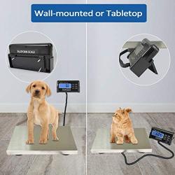 SurmountWay 440lbs Digital Livestock Scale Large Pet Vet Scale Stainless Steel Platform Electronic Postal Shipping Scale Industrial Floor Scale Heavy Duty Large Dog Hog Sheep Goat Pig Sheep Scale