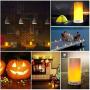 LED Flame Effect Light, CFGROW USB Rechargeable Battery Operated Flame Lamp, Fireplace Light with Remote & Timer,Waterproof Dimmable 4 Modes Flameless Candle Light for Room Party Bar Decor 2 PCS