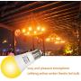 LeMeng Yellow Bug Light Bulbs 9W, A19 LED Sleep Aid Bulb Amber Night Lights 2000K, 75watts Halogen Equivalent, E26 Medium Base Porch Light 120V, Not Dimmable for Hallway Holiday Party(6 Pack)