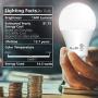 A19 LED Light Bulbs- 6 Pack, AmeriTop Efficient 14W(100W Equivalent) 1600 Lumens General Lighting Bulbs, UL Listed, 5000K Daylight, Non-Dimmable, E26 Standard Base