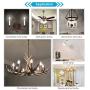 Ascher E12 LED Classic Candelabra Clear Light Bulbs, Equivalent 40W, Daylight White 5000K, Filament Clear Glass, Non-Dimmable, Pack of 5