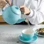 Sweese 221.102 Teapot, Porcelain Tea Pot with Stainless Steel Infuser, Blooming & Loose Leaf Teapot - 27ounce, Turquoise