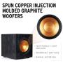 Klipsch Synergy Black Label Sub-100 Subwoofer