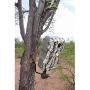 HME Products Economy Trail Camera Holder , Olive, 6.50x5.24x1.38