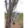HME Products Economy Trail Camera Holder , Olive, 6.50x5.24x1.38