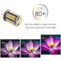 Makergroup T3 G4 Bi-pin LED Light Bulb 12VAC/DC Low Voltage 3Watt Daylight White 6000K for Outdoor Landscape Lighting Path Lights, Deck Lights, Step Lights,Paver Lights 2-Pack