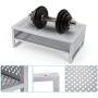 Simple Trending 2-Tier Monitor Stand Riser, Metal Desk Organizer Stand with Anti-Slip Suction Cup for Laptop, Computer, iMac, Pc, Printer,Silver