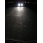 Xentec H1 5000K HID xenon bulb x 1 pair bundle with 2 x 35W Digital Ballast (Ivory White)