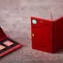 Funlab Premium Game Card Case for Nintendo Switch, Portable Aluminum Games Storage with 6 Cards Holder for Travel Carrying – Red