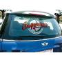 Software for Vinyl Cutting Plotter Sticker and Decal Machines VinylMaster DSR (No Disk)