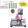 VisionTechShop DLP-300 Label Printing Scale Pole Display, 30/60lbs Capacity, 0.01/0.02lbs, NTEP Legal for Trade with a Free 1 case CAS LST-8040 UPC/Safe Handling Label, 58 x 60 mm