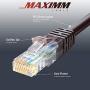 Ethernet Cable, 50 Feet. Cat 6 High Speed LAN Network, Internet Cord RJ45. 150Ft Cat6, Brown, Cables Pure Copper, UL