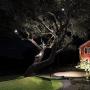 WAC Lighting 5211-30BZ LED 12V Large Accent, Bronze, WAC Landscape Transformer Required
