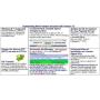 Start-Stop Universal Transcription System