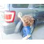 Parking Pal Car Magnet-Parking Lot Safety for Children (Unicorn)