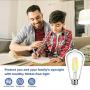 12Packs Vintage LED Edison Bulbs, 60W Equivalent 7W, 800Lumens, Dimmable ST64 Antique LED Filament, Daylight White 5000K, E26 Medium Base Light Bulbs High Brightness Clear Glass for Bedroom Office