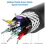 Rankie DP Extension Cable, DisplayPort Male to Female Extension Cable, 6 Feet, Black