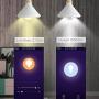 Smart Light Bulb, Tunable, Soft White to Daylight, Wifi Smart Bulb, 60 Watt Equivalent, A19 E26 Edison Bulb, Compatible with Alexa and Google Home, Lumiman LM520