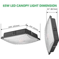1000LED LED Canopy Light Fixtures 65W, Upgrade Bright 8,000LM Daylight 5000K 250W HID/HPS Replacement, Waterproof IP65 Gas Station Garage Light UL DLC Listed