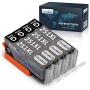 OfficeWorld Compatible 250 251 Gray Ink Cartridge Replacement for Canon 251XL CLI-251 GY Gray, Compatible with Canon MG6320 MG7120 MG7520 IP8720 Printer