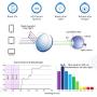 Blue Light Blocking Glasses, Photochromic Gray Sunglasses, Anti Eyestrain, Computer Reading Glasses, for Women/Men