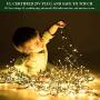 Haynery 500 LED Christmas String Lights 164FT Extendable with Remote, Outdoor Indoor Plug in Twinkle Lights for Christmas Tree Party Garden Decoration, Warm White