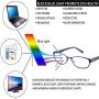 FEIVSN 2-Pack Blue Light Blocking Reading Glasses For Women,Metal Frame Spring Hinge Readers,Stylish Light Eyeglasses UV 400(mix 1.00)