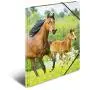HERMA Elastic Folder Animals with Horses Motif, A3, Sturdy Plastic, with Inner Print, 1 Span Folder