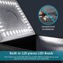 Neewer Photo Studio Light Box 16inches/40cm Shooting Light Tent Adjustable Brightness Foldable Portable Professional Booth Table Top Photography Lighting Kit 80 LED Lights 4 Colors Backdrops