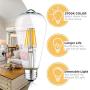 Dimmable LED Edison Light Bulbs: 6 Watt, 2700K Soft White Lightbulbs - 60W Equivalent - E26 Base - Vintage Light Bulb Set - 6 Pack