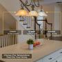 Dimmable LED Edison Light Bulbs: 6 Watt, 2700K Soft White Lightbulbs - 60W Equivalent - E26 Base - Vintage Light Bulb Set - 6 Pack
