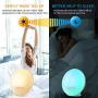 Wake Up Light Sunrise Alarm Clock, 7 Colors Bedside Night Light with Sunrise/Sunset Simulation, Dual Alarms, Snooze Function, FM Radio Clock & 7 Natural Sounds, Ideal Gift for Kids/Adults
