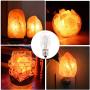 Betus [Original Replacement] Long Lasting 15 Watt Dimmable E12 Socket Incandescent Candelabra Salt Lamp Bulb - Value Pack of 12