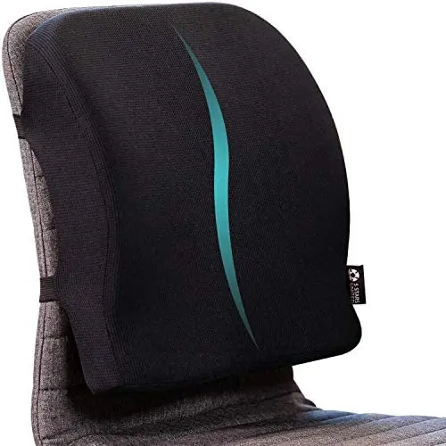 Back Support for Office Chair - Memory Foam Lumbar Pillow - Perfect Cushion for Car, Computer and Desk Seat