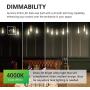 Sunco Lighting 8 Pack ST64 LED Bulb, Dimmable, Waterproof, 8.5W=60W, 4000K Cool White, Vintage Edison Filament Bulb, 800 LM, E26 Base, Restaurant or String Lights - UL