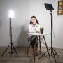 2 Packs LED Video Photography Lighting Kit, Panel Studio Lights with Stand, VL-200T Bi-Color Dimmable Photo Lighting for YouTube Video Shooting, Wireless Remote, AC Adapter, Carry Bag (Included)