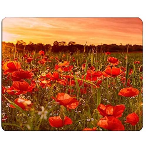 NICOKEE Poppy Rectangle Gaming Mousepad Poppy Flower Red Floral Landscape Mouse Pad Mouse Mat for Computer Desk Laptop Office 9.5 X 7.9 Inch Non-Slip Rubber
