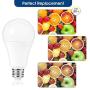 LOHAS A21 LED Light Bulb, 150W-200W Incandescent Bulb Equivalent, 23W LED Bulb, 2500 Lumens, Daylight White 5000K, E26 Medium Screw Base, LED Lamp, Home Decor Lights, Not-Dimmable, (Pack of 4)