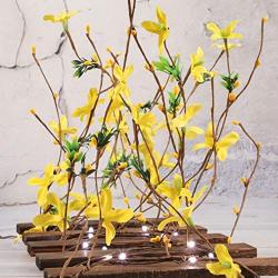 Artificial Winter Jasmine String Lights, 30 LED 10FT Battery Powered Flower Garland Fairy Lights with Remote for Garden Bedroom Wedding Birthday Party Holiday Vine Lights Décor