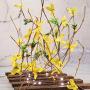 Artificial Winter Jasmine String Lights, 30 LED 10FT Battery Powered Flower Garland Fairy Lights with Remote for Garden Bedroom Wedding Birthday Party Holiday Vine Lights Décor